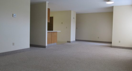 Living room and dining area